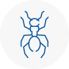 Ant Removals In Renfrew