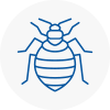Bed Bug Extermination In Renfrew