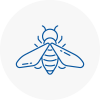 Bee Nest Removal Renfrew
