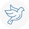 Bird Prevention Renfrew