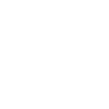 Domestic Ant Control For Renfrew