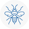 Renfrew Hornet Nest Removals