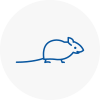Mice Exterminators In Renfrew