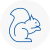 Renfrew Rodent Removals