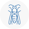 Renfrew Wasp Nest Removal